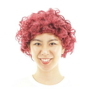 赤毛のクルクルかつら 巻き毛 カツラ レッド カーリーヘアー パーマ ウィッグ 男女兼用