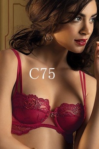 C75☆リズ シャルメル　Lise Charmel　TELLEMENT GLAMOUR　24200円　ハーフカップブラ