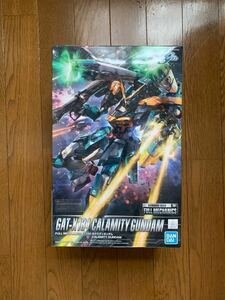 1/100 フルメカニクス カラミティガンダム 未組立て品　ガンプラ 