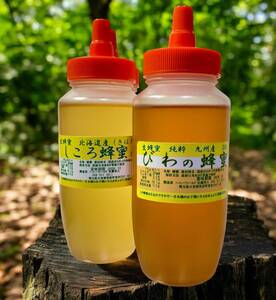 幻の蜂蜜２本セット　びわ　しころ　各300g　計600ｇ希少＆超希少　純粋国産　生はちみつ　限定販売です。 びわ蜂蜜　しころ蜂蜜