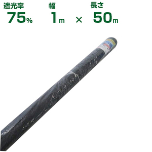 (個人宅配送OK)シンセイ 遮光ネット 黒 遮光率75% 1m×50m (農業用)(園芸用)(農業資材)(家庭菜園)(ベランダ)(日除け)(100cm)