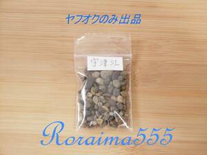 宇津江海水浴場の砂（小石） ヤフオクのみ出品！　愛知県　Beach Sand　Japan Aichi Prefecture　（ Small Pebble ）