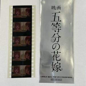 映画 劇場版 五等分の花嫁 第6週 入場者 来場者 特典 非売品 フィルム 生コマフィルム 中野ニ乃 中野四葉 学園祭 放課後 ニ乃 四葉 b