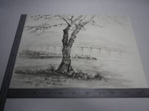 「渡月橋 ～ 桜 2（裏表描画）」水墨画【坂垣内 将泰】作者直筆原画「真作」P10号ハーネミューレ紙(経年保管品)【送料無料】00700224