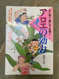 よく効く、何にでも効く アロエの効力 添田百枝 永岡書店 /治療薬 効用 常備薬 抗がん成分 薬効 慢性病 /症状別使用法と美容・栽培法