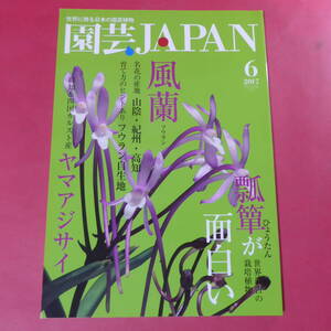 YN4-241219☆園芸JAPAN 2017年6月号　フウラン ヒョウタン ヤマアジサイ セッコク ※ 自然と野生ラン