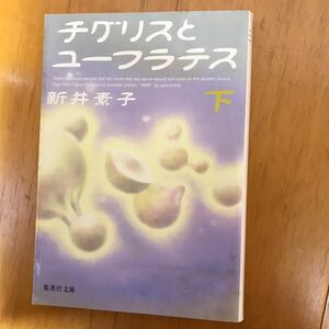 100c-8p8 新井 素子 チグリスとユーフラテス 下 (集英社文庫) 大作