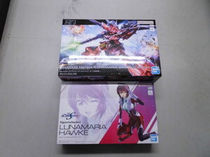 新品・未開封 バンダイ HGCE 1/144 ゲルググメナース（ルナマリア）＋Figure-rise Standard ルナマリアホーク プラモデル セット