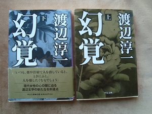 渡辺淳一(中公文庫）「幻覚（上、下）」計２冊 日本作家 小説 USED