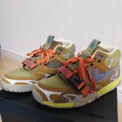 Nike Air Trainer 1 SP "Coriander"