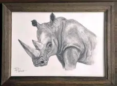 かっこいい【サイ Rhino】鉛筆画  原画 一点もの