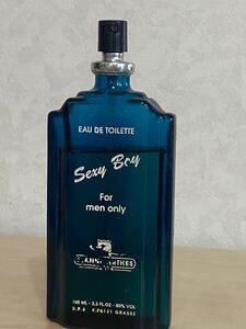 ジャンヌアルテス セクシーボーイ EDT・SP 100ml 香水 SEXY BOY FOR MEN ONLY JEANNE ARTHES オードトワレ 