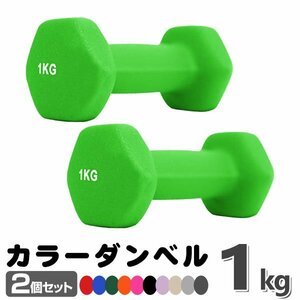 未使用 ダンベル 1kg 2個セットカラーダンベル 鉄アレイ ダンベル コンパクト おしゃれ かわいい カラフルダンベル エクササイズ 筋トレ