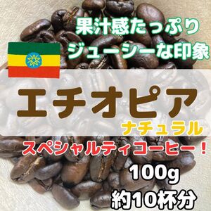 【自家焙煎珈琲100g/10杯分】エチオピア イルガチェフェ アリーチャ ナチュラル/モカ/スペシャルティーコーヒー