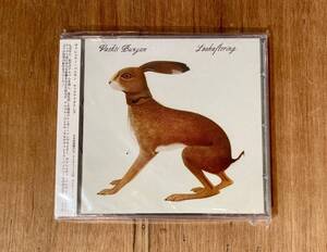 ■稀少/帯付国内流通盤■Vashti Bunyan (ヴァシュティ・バニヤン) / Lookaftering■70sフィメール・ブリティッシュSSW