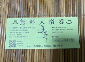 ジェームス山天然温泉 月の湯舟 入浴券 2024/11/30迄 手渡し、直接ポスト投函可