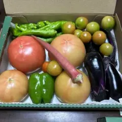 実物アップ❤︎無農薬野菜・採りたてトマト＆茄子　お野菜セット