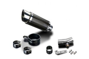 DELKEVIC スリップオンカーボンマフラー★KAWASAKI ER6N / ER650A 2006-2008 200mm KIT01BG