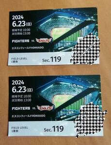 2024/6/23(日) 北海道日本ハムファイターズVS東北楽天ゴールデンイーグルス 2枚組　エスコンフィールド 1塁側　FIELD LEVEL 　SEC.119 ペア