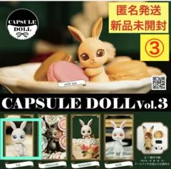 ガチャカプセルドールCAPSULE DOLLVol.3ice兎③カスタム