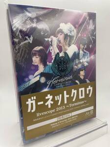 MR 匿名配送 2Blu-ray GARNET CROW livescope 2013 Terminus ガーネットクロウ 4523949095204