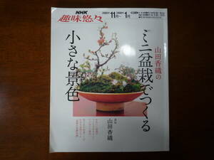 ミニ盆栽でつくる小さな景色 山田香織 