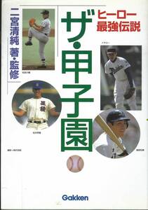 二宮清純著　ヒーロー最強伝説　ザ・甲子園