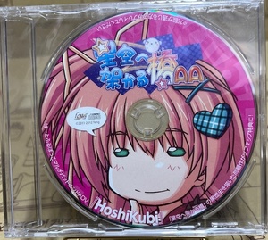 星空へ架かる橋AA　ソフマップ予約購入特典CD　feng（フォン）　