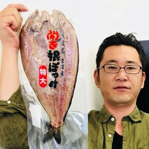 特大 根ボッケ開き 1枚 北海道産 根ボッケ ほっけ開き ホッケ ほっけ 開き 干物 特大ホッケ 中元 お中元 御中元 お盆