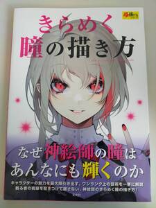 きらめく瞳の描き方　なぜ神絵師の瞳はあんなにも輝くのか　玄光社　マンガ　キャラクター　イラスト　デッサン　【即決】