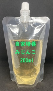 200ml 490円 【送料無料】自家培養タイリクミジンコ【アクアリウム 熱帯魚 メダカ 稚魚 活餌】