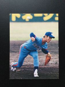 カルビー プロ野球カード 80年 大判 枠あり No47 尾花高夫