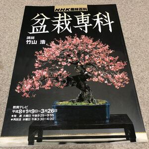 盆栽専科 平成8年1月1日発行