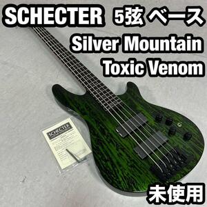 SCHECTER 5弦ベース　スルーネック　Silver Mountain