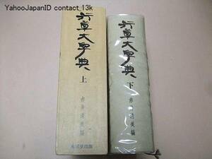 行草大字典・2冊/赤井清美/定価45000円/豊富な内容と総字数はわが国においても中国においても類がなくまさに空前絶後の画期的な巨編である