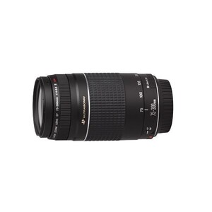 中古 １年保証 美品 Canon EF 75-300mm F4-5.6 III USM