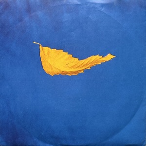 【試聴 7inch】New Order / True Faith 7インチ 45 ギターポップ ネオアコ サバービア