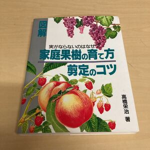 図解　家庭果樹の育て方　剪定のコツ