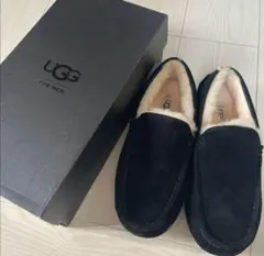 UGG アスコット