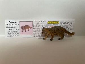 ★ツシマヤマネコ★チョコエッグ日本の動物★フルタ★海洋堂★猫★ねこ