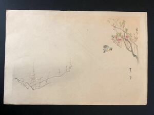 【真作保証】三島焦窓　花シリーズ　梅と桜　木版画　花鳥画　昭和　shoso woodblock print 庄田耕峯　新井芳宗　川瀬巴水　土屋光逸