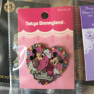 ディズニーランド プリンセスデイズ ピンバッジ ピンバッチ ミッキー ミニー TDL