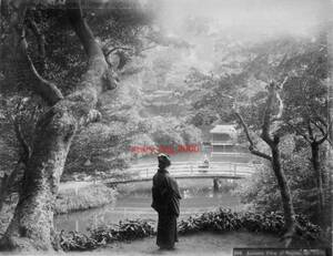 複製復刻 絵葉書/古写真 東京 王子滝野川の紅葉 明治期