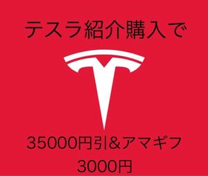 テスラ紹介購入で3.5万円引&Amazonギフト3000円　　【2】