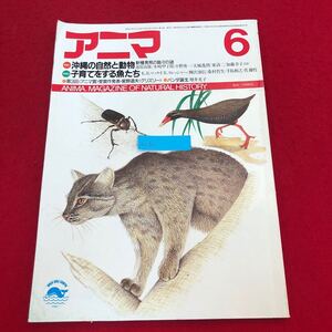 Ac-310/アニマ 1986年6月号No.160 平凡社発行 特集:沖縄の自然と動物 新種発見の島々の謎 子育てをする魚たち パンダの誕生 他/L1/7021