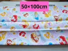 ディズニープリンセス　オックス　生地　約 50×100cm