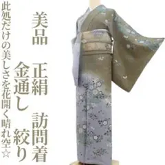 美品 正絹 着物 金通し 絞り“此処だけの美しさを花開く晴れ空☆”訪問着T-62