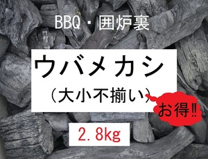 お得！《送込》(炭428)【ウバメカシ】カシ炭「2.8kg」火持ち抜群　BBQ　燃料　囲炉裏　火鉢　割れ欠け大小不揃い　姥女樫　かし