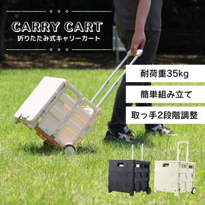 折りたたみ キャリーカート 台車 ショッピングカート アウトドア 大容量 耐荷重35kg キャスター付 フタ付