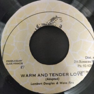 Lombert Douglas ＆ Wayne Fire / Warm And Tender Love